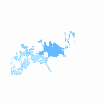 Export Image